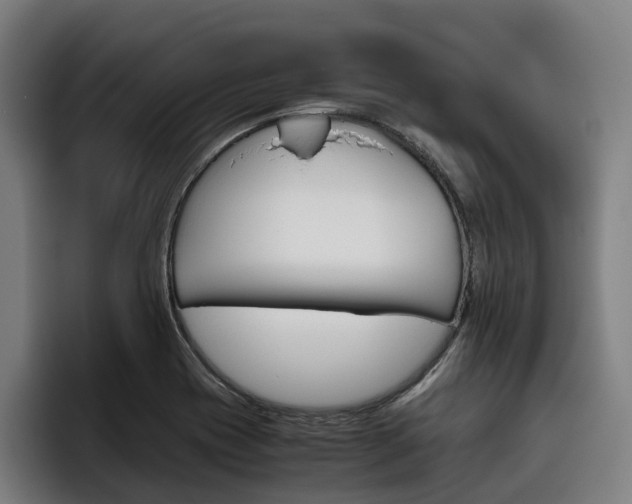 X0000093491417200710121004