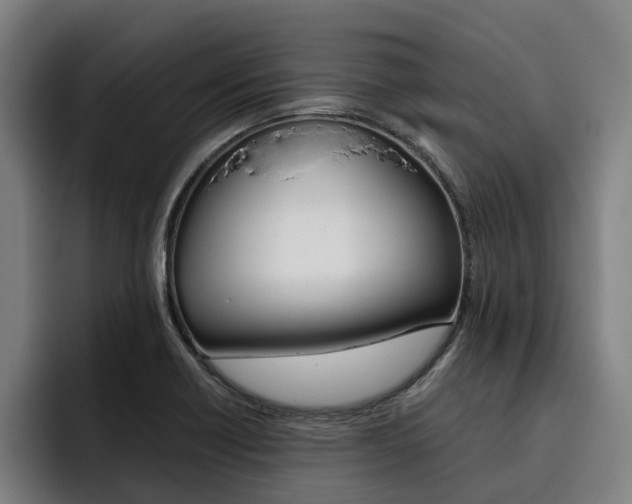 X0000093491418200710121004