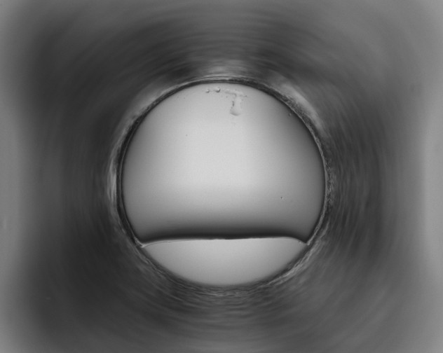 X0000093491419200710121004
