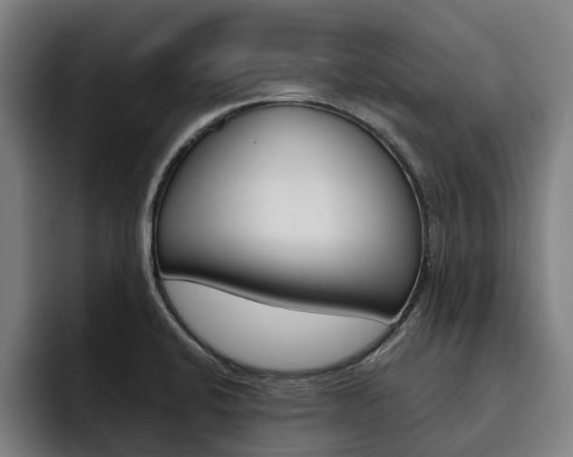 X0000093491424200710121004