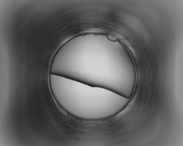 X0000093491425200710121004