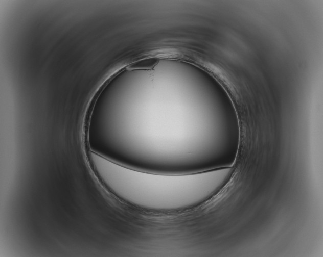 X0000093491426200710121004