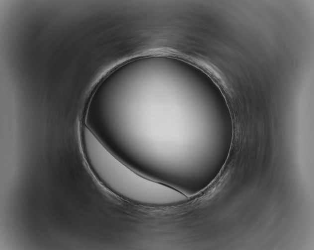 X0000093491430200710121004