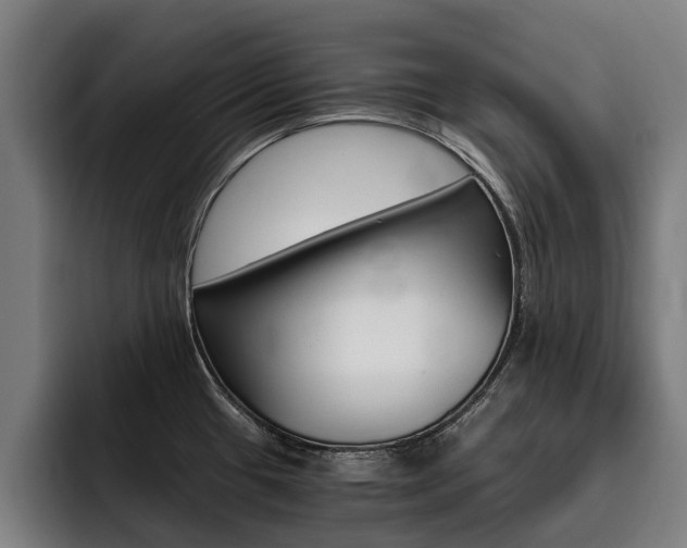 X0000093491433200710121004