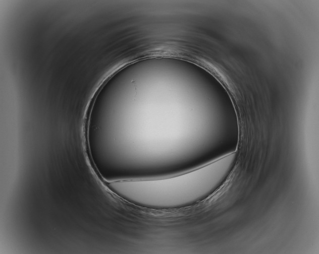 X0000093491434200710121004