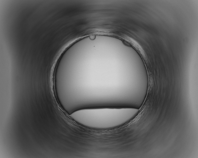 X0000093491435200710121004