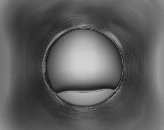 X0000093491436200710121004