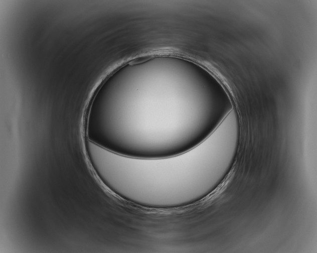 X0000093491438200710121004
