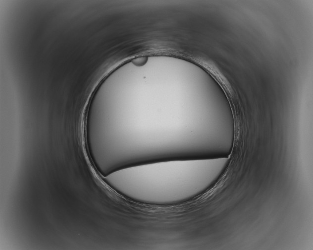 X0000093491439200710121004