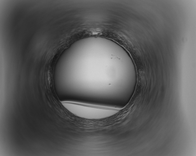 X0000093491442200710121004