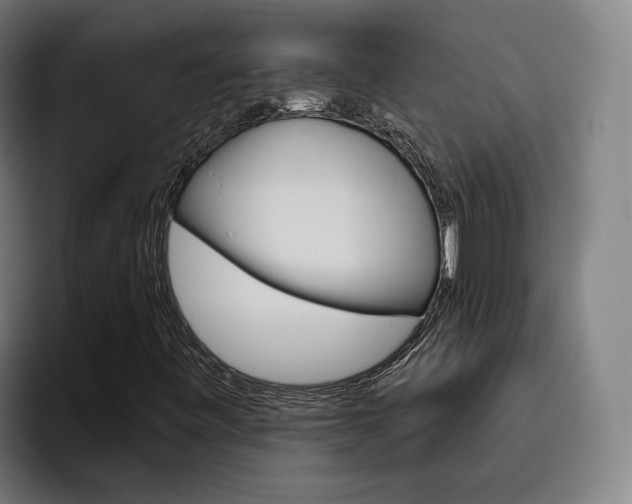 X0000093491443200710121004
