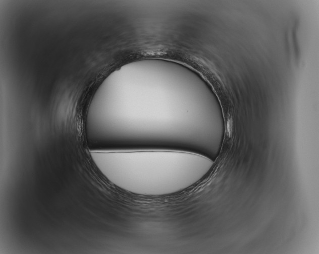 X0000093491444200710121004