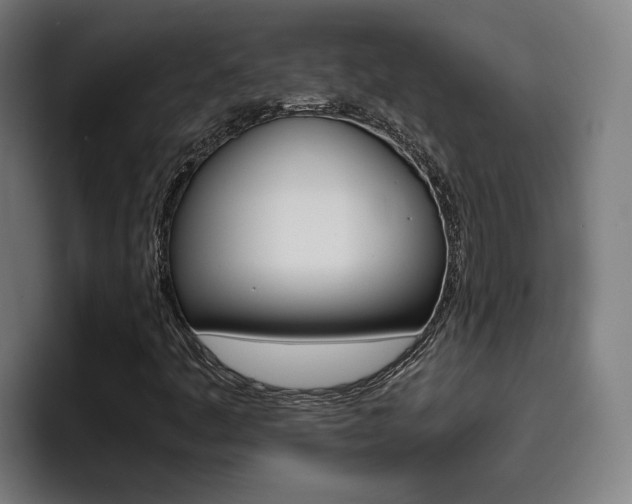 X0000093491445200710121004