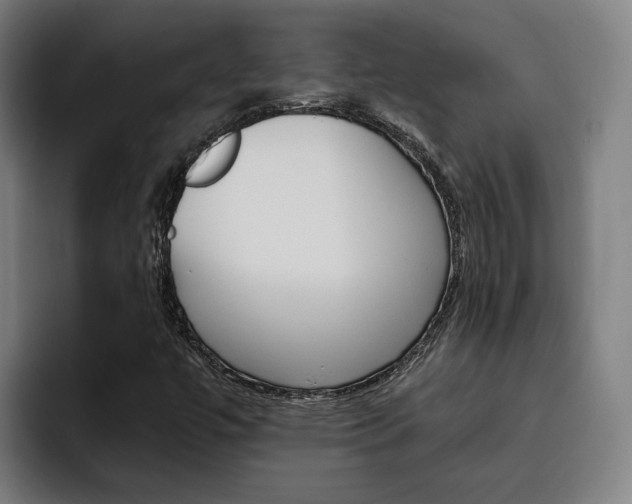X0000093491447200710121004
