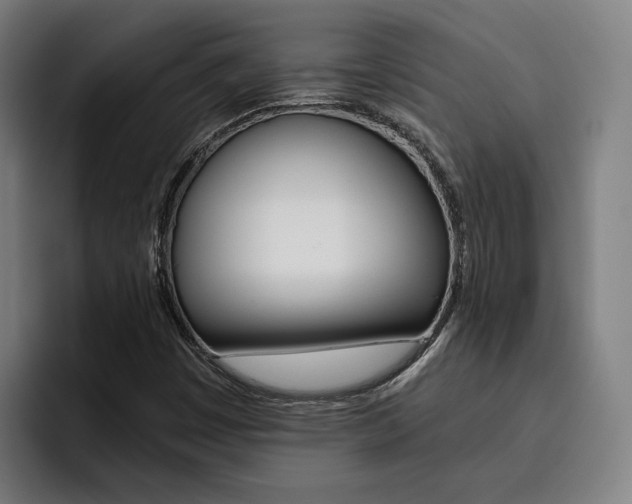 X0000093491449200710121004