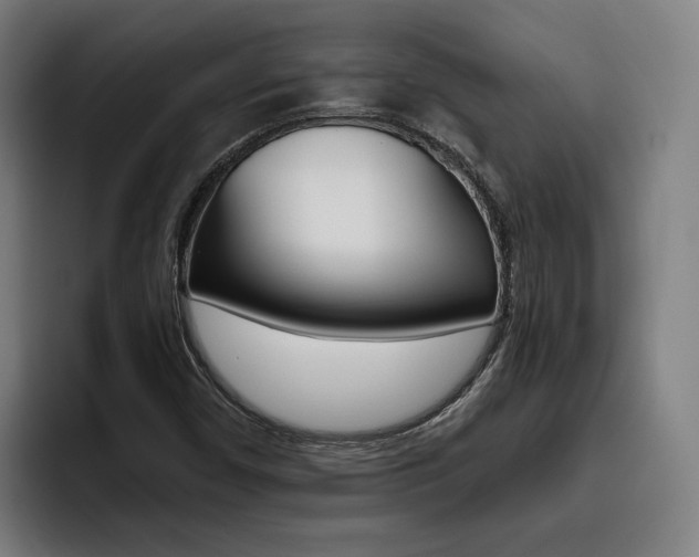 X0000093491450200710121004