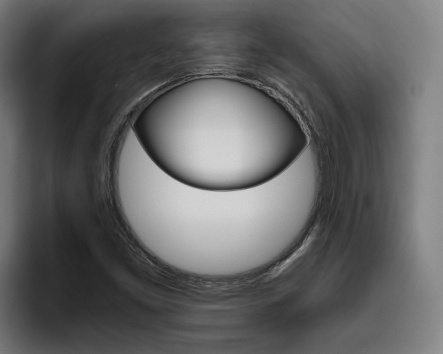 X0000093491453200710121004