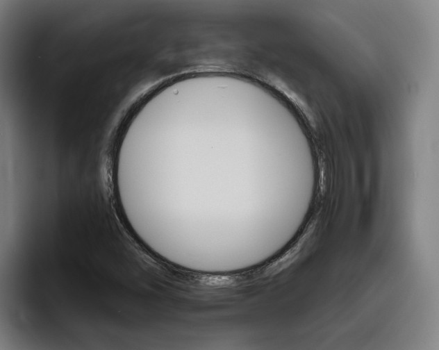 X0000093491454200710121004