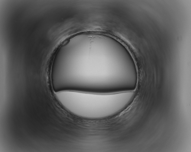 X0000093491455200710121004
