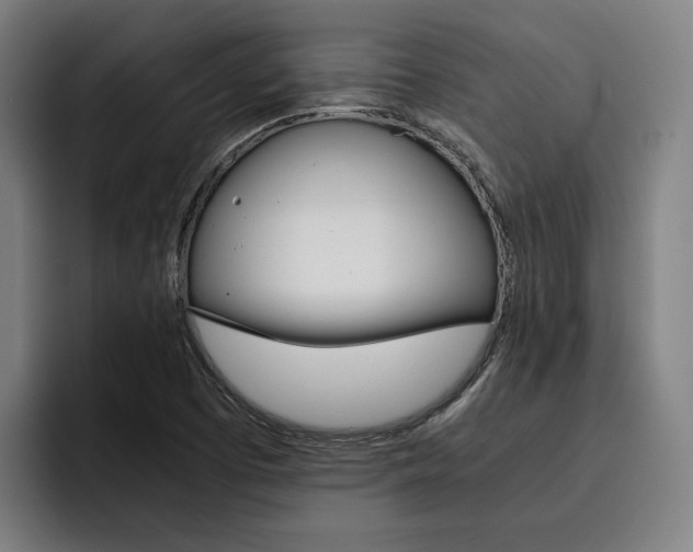 X0000093491457200710121004