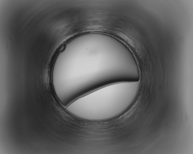 X0000093491458200710121004