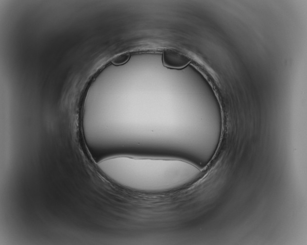 X0000093491459200710121004