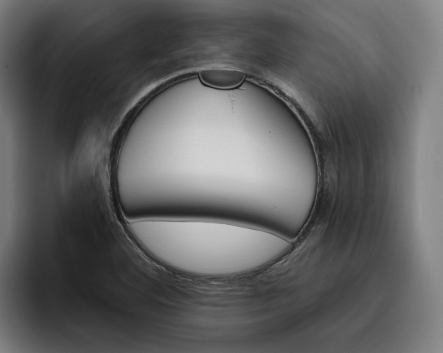 X0000093491460200710121004