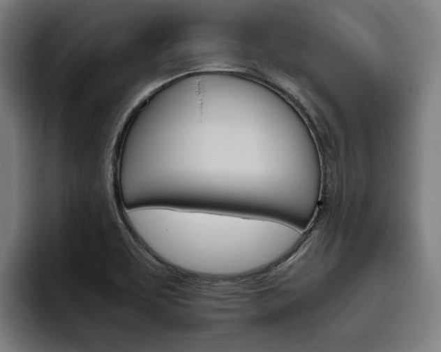 X0000093491463200710121004