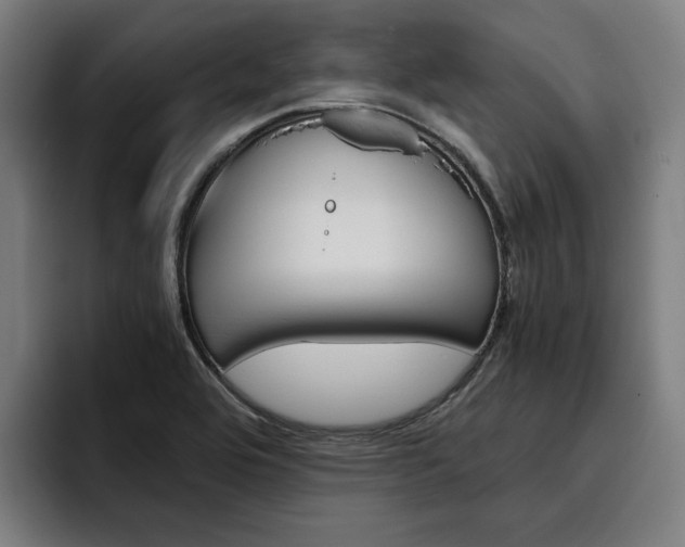 X0000093491464200710121004