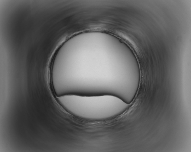 X0000093491467200710121004