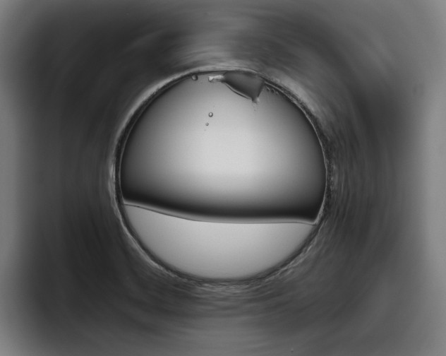 X0000093491468200710121004
