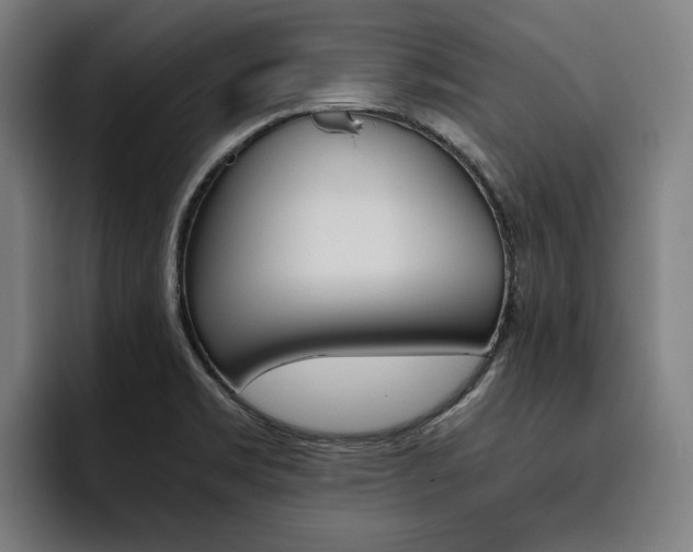 X0000093491469200710121004
