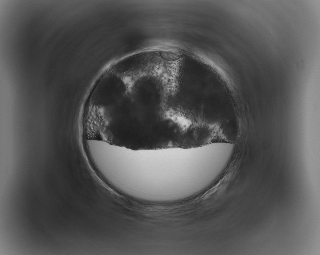 X0000093491471200710121004