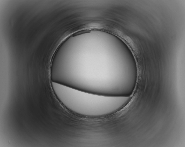 X0000093491473200710121004