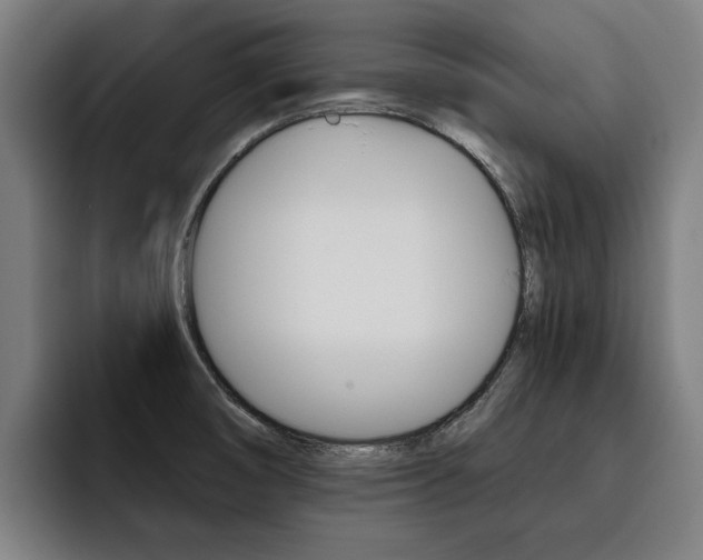 X0000093491474200710121004