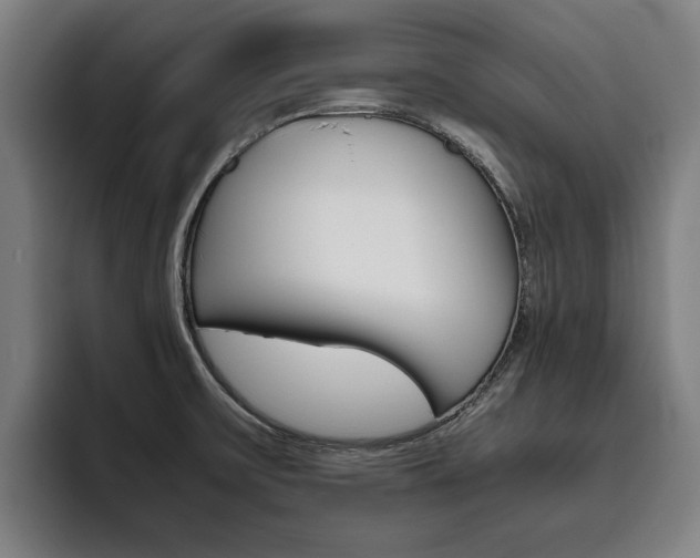 X0000093491475200710121004