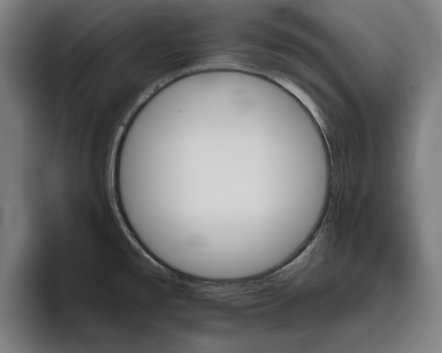 X0000093491477200710121004