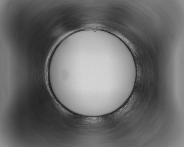 X0000093491478200710121003