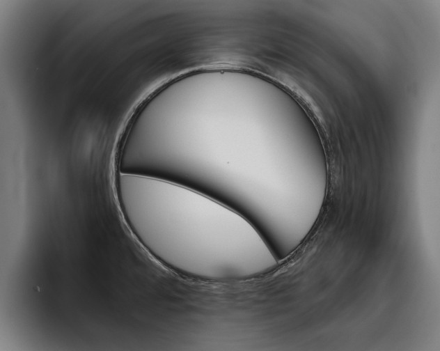 X0000093491480200710121003