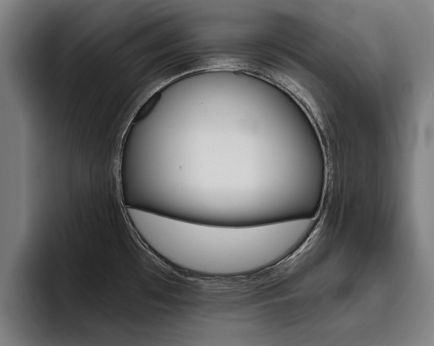 X0000093491481200710121003