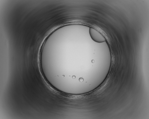 X0000093491482200710121003