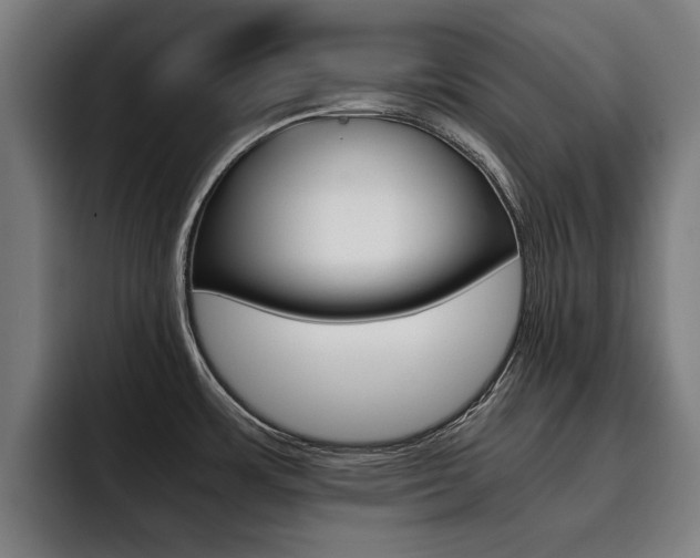 X0000093491483200710121003