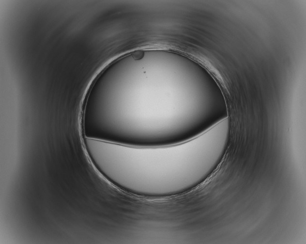 X0000093491484200710121003
