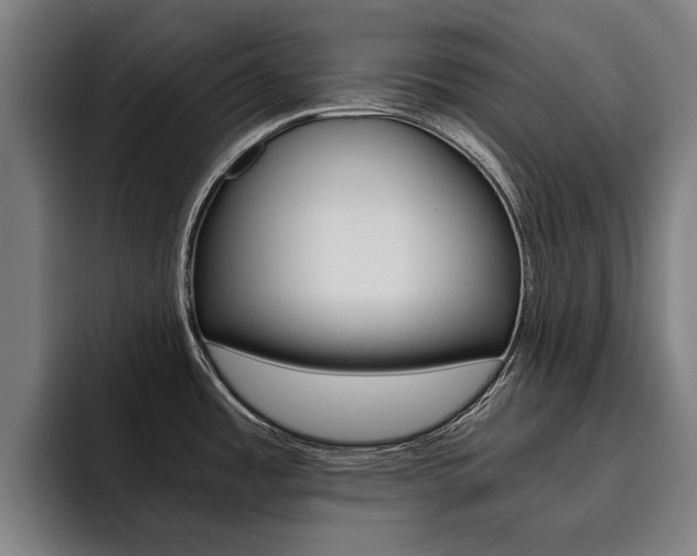 X0000093491485200710121003
