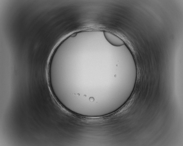X0000093491486200710121003