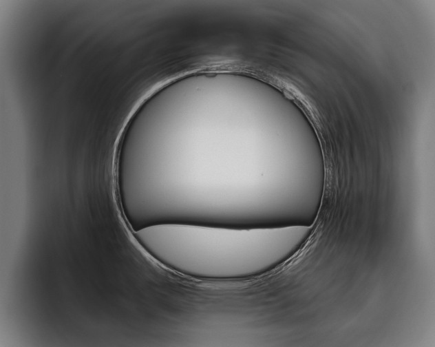 X0000093491487200710121003
