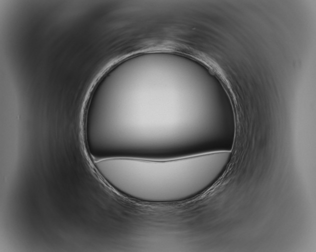 X0000093491488200710121003
