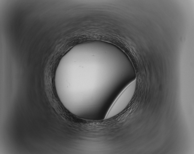 X0000093491489200710121003