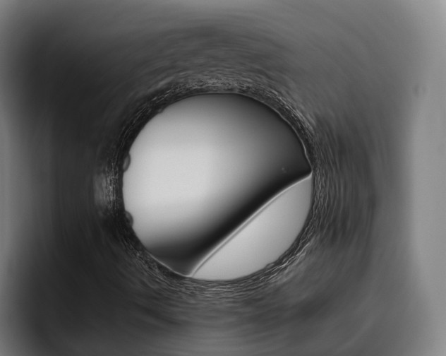 X0000093491490200710121003