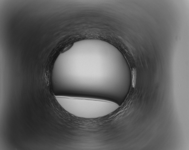 X0000093491491200710121003